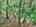 Blurred preview of media: DJI_20260702124754_0582_D_3_D_4_D_easyHDR