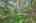 Blurred preview of media: IMG_4613_4_5_easyHDR
