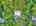 Blurred preview of media: DJI_20260818120755_0001_D_2_D_3_D_easyHDR