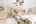 Blurred preview of media: 081A0283-Edit