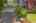 Blurred preview of media: Aerial 03