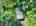 Blurred preview of media: DJI_20260829152438_0420_D_1_D_2_D_easyHDR