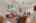 Blurred preview of media: 6243Cecilyann-12