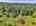Blurred preview of media: 9zzl