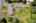 Blurred preview of media: Aerial 07