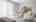 Blurred preview of media: IMG_9952.5