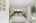 Blurred preview of media: 121 Millbury Avenue Millbury Massachusetts Job 39336 0054