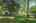 Blurred preview of media: _RKJ4271