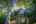 Blurred preview of media: TEL00501-HDR