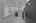 Blurred preview of media: DSC07203