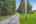 Blurred preview of media: NZ9_9593