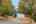 Blurred preview of media: 1-45