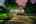 Blurred preview of media: 4Sept0011