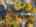 Blurred preview of media: 087