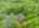 Blurred preview of media: 66 Woobly Road Bolton Massachusetts Job 39072 0073