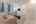 Blurred preview of media: 345-2