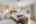 Blurred preview of media: 37 Fir (22)
