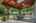 Blurred preview of media: 40