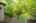 Blurred preview of media: 64 Ravina Cres, Ancaster _ Nathan Ferro133
