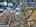 Blurred preview of media: DJI_0815_6_7_easyHDR