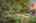 Blurred preview of media: 1-56