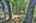 Blurred preview of media: 9zzza