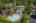 Blurred preview of media: Silver Ridge 01