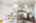 Blurred preview of media: 019