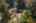 Blurred preview of media: Aerial 09