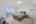 Blurred preview of media: 018