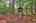 Blurred preview of media: IMG_2170_1_2_easyHDR