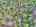 Blurred preview of media: DJI_20260505134348_0838_D_39_D_40_D_easyHDR