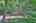 Blurred preview of media: IMG_1663_4_5_easyHDR