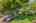 Blurred preview of media: Aerial 02