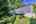 Blurred preview of media: IMG_5024_5_6_easyHDR
