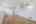 Blurred preview of media: 038