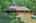 Blurred preview of media: IMG_0538_39_40_easyHDR