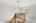 Blurred preview of media: 2bobwhite_077