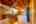 Blurred preview of media: TEL00616-HDR