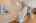 Blurred preview of media: 1-21