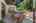 Blurred preview of media: 45
