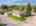 Blurred preview of media: 2449 Colusa-6