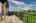 Blurred preview of media: 040