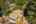Blurred preview of media: 1-45