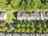 Blurred preview of media: 1-1026-0968