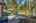 Blurred preview of media: 1-29