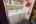 Blurred preview of media: PAX_2101