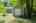Blurred preview of media: _RKJ4267