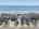 Blurred preview of media: DJI_20260815115742_0032_D