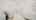Blurred preview of media: Room Five 04